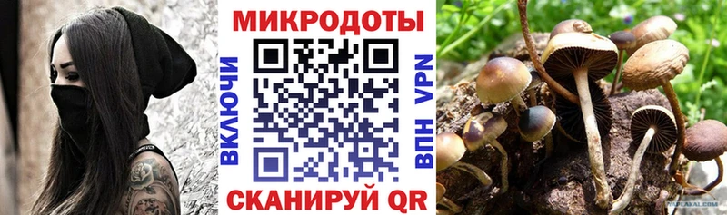 MEGA зеркало  где продают наркотики  Сурск  Псилоцибиновые грибы Psilocybe 